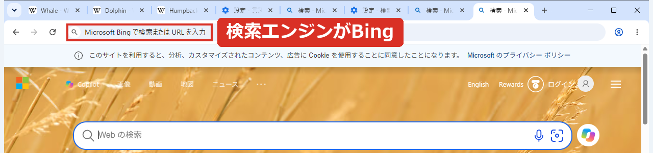 検索エンジンがBingだと新しいタブがBingになる