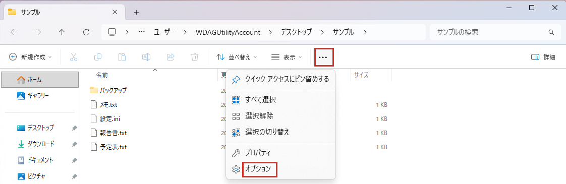 エクスプローラーのもっと見るメニューのオプション